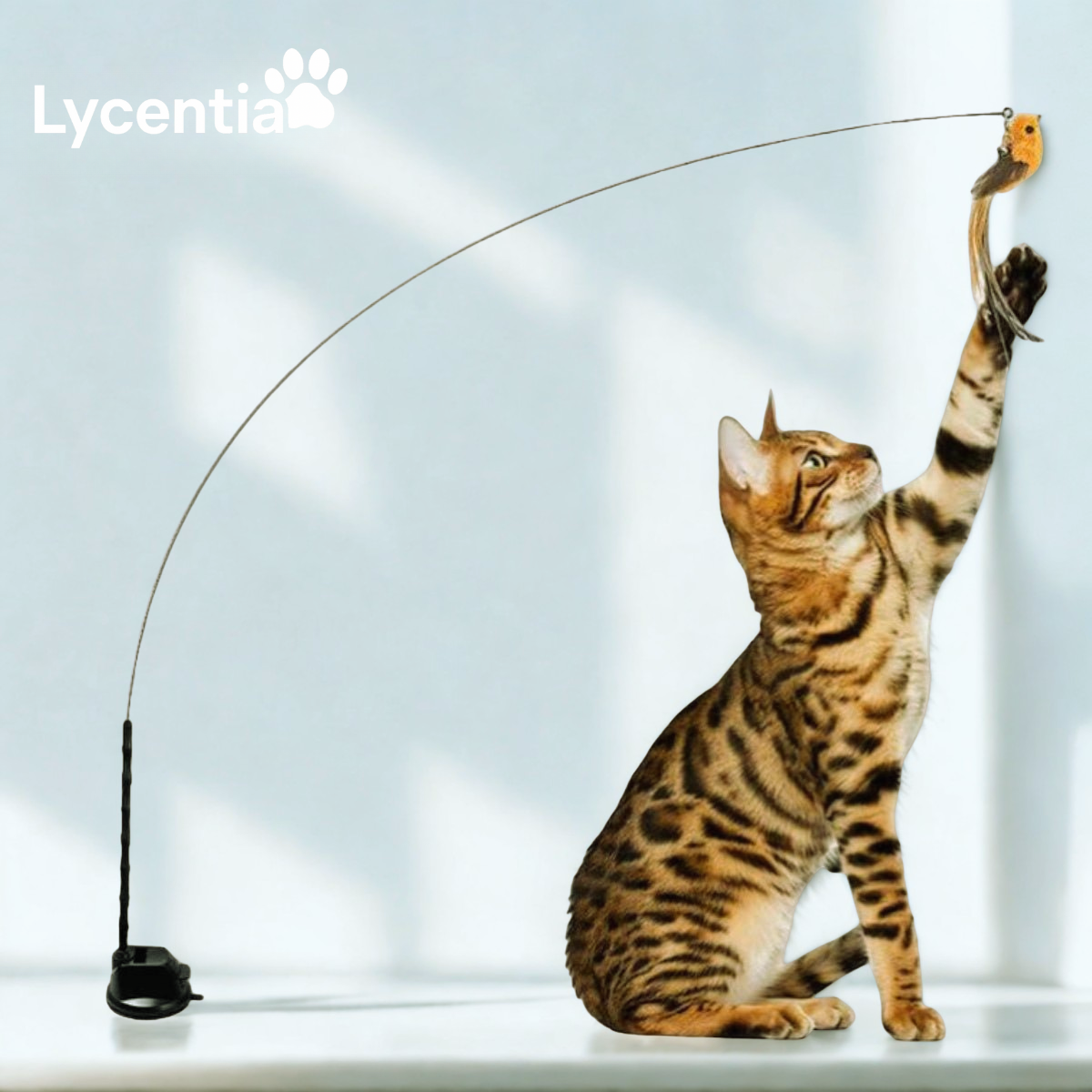 Lycentia CatchyBird™ – Interactieve Vogel Jacht-Simulator voor Katten