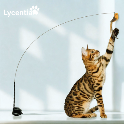 Lycentia CatchyBird™ – Interactieve Vogel Jacht-Simulator voor Katten